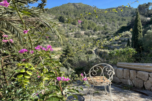 Terraces with mountain views