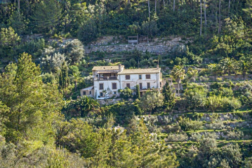 The finca’s separate annex, available for rent, is visible on the left side of the image.