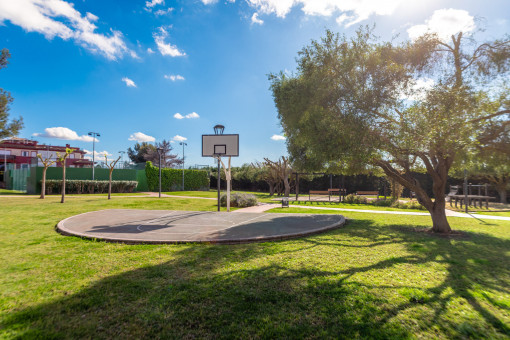 Basketball court, paddle court and table tennis