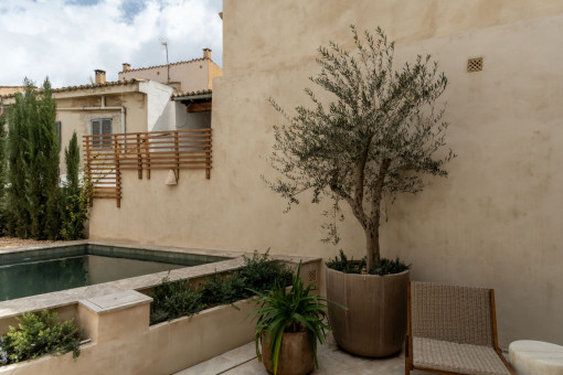 Peaceful Mediterranean patio with private pool and curated planting