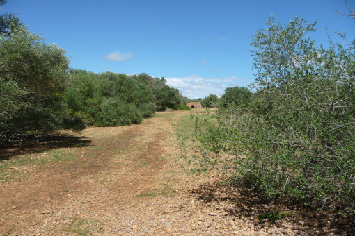 Building plot