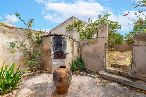 Wood-fired oven 