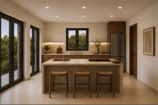 Visu Kitchen