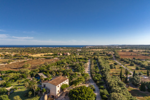 Surroundings