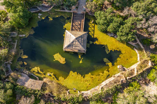 Pond with house