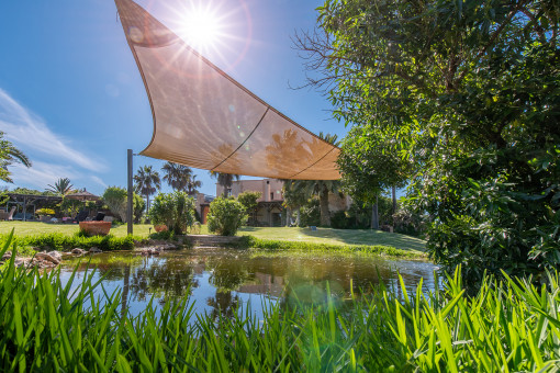 Pond
