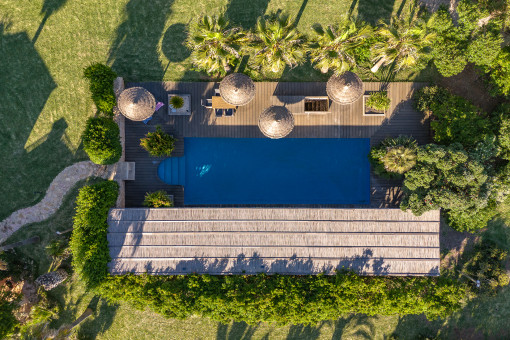 Bird`s eye view