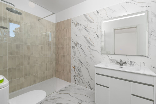 One of 2 bathrooms