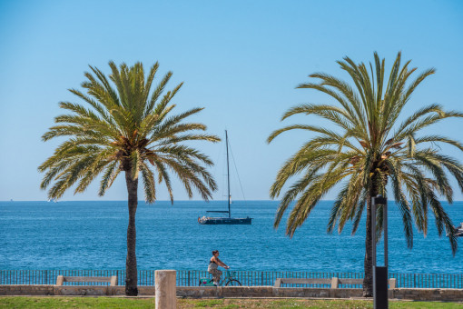 Walking distance to the sea