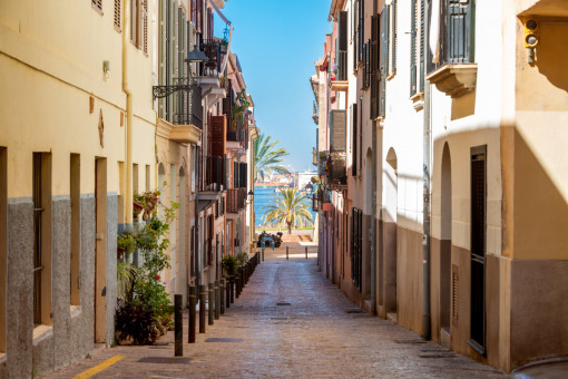 apartment in Palma de Mallorca Old Town
