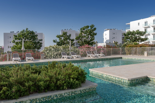 Large pool