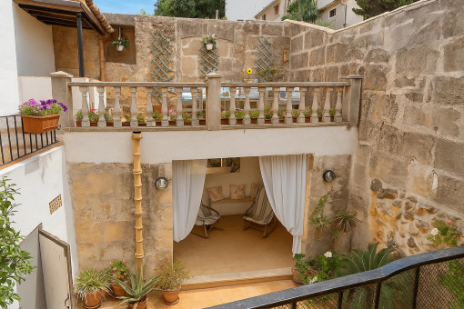 Charming terrace with plants