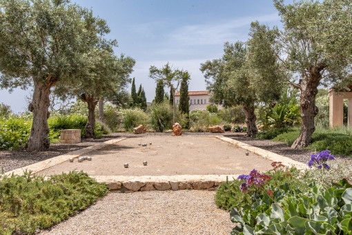 Pétanque court