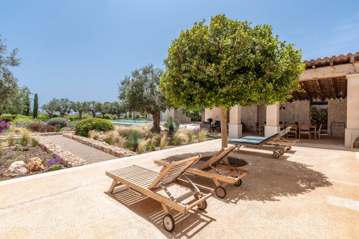 Sun terrace with garden view