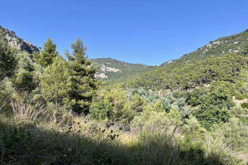 plot in Valldemossa