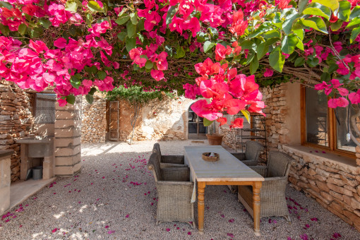 Patio with bougainvillea