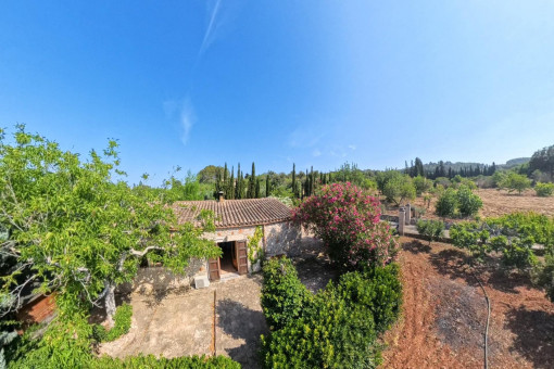 finca in Campanet
