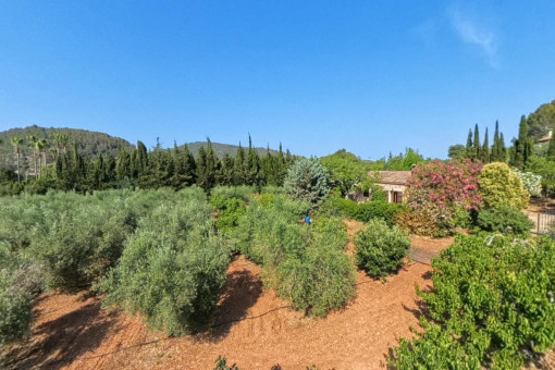 Rustic finca with panoramic view of fruit orchard