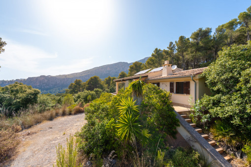 finca in Puigpunyent