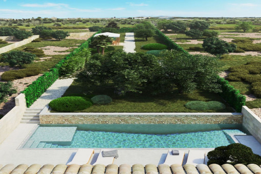 Large garden
