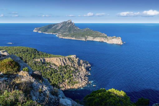 The nature of dragonera 