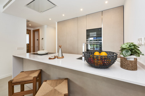 Open modern kitchen