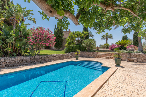 Pool area with sun terrace