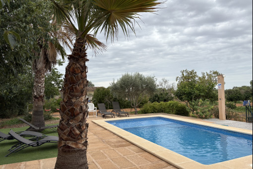 finca in Campos