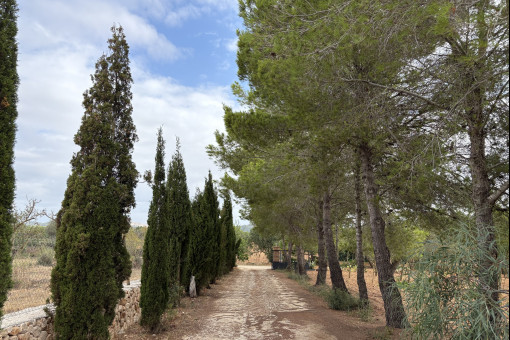 Finca entry