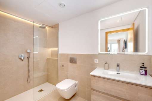 Bathroom in Suite