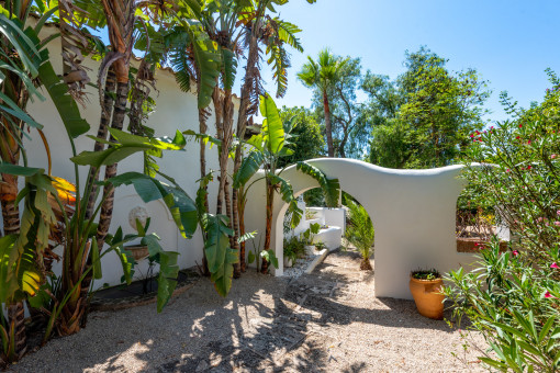 Mature, landscaped garden