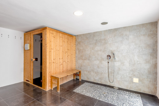Sauna and shower on the lower level