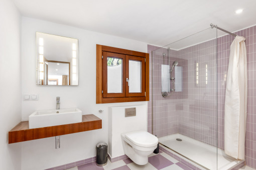 En-suite bathroom in the guest apartment
