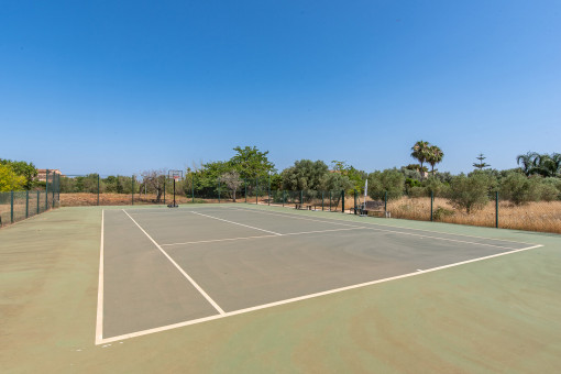 Tennis court
