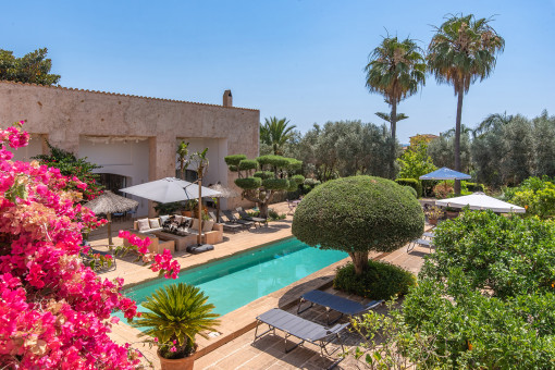 finca in Campos