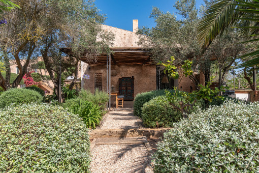 Mediterranean garden
