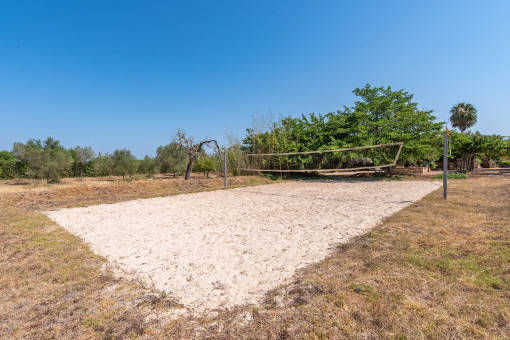 volleyball court