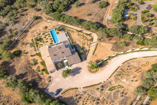 Birds eye view