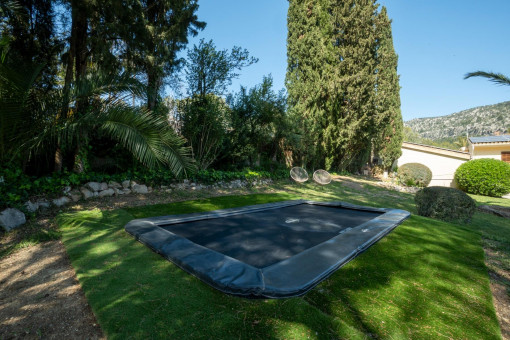 Trampoline