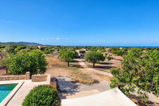 View across the property from the terrace
