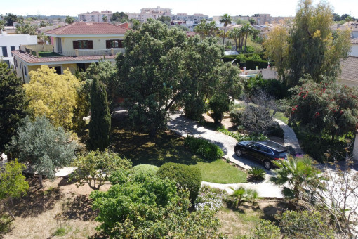 Garden area