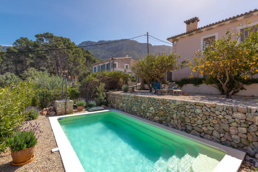 Swimmingpool and lemontree terrace