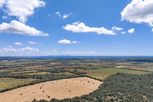 Far reaching views