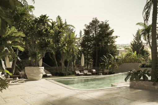 Tropical garden