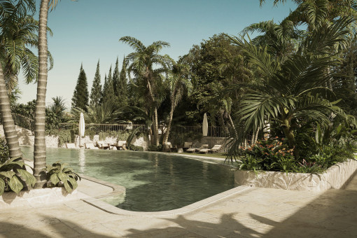 Pool with tropical garden