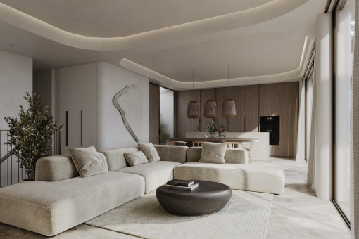 Living room and kitchen