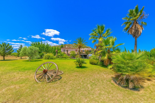 finca in Alcudia