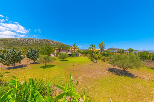 View across the landscaped garden