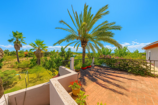 View from the guest apartment terrace