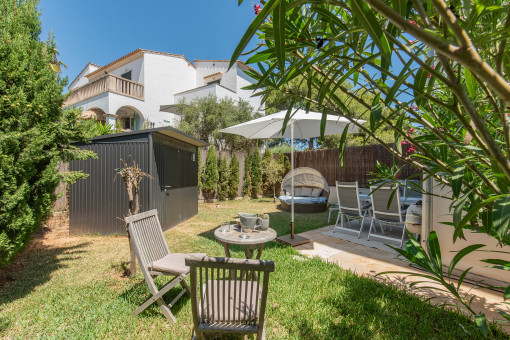Garden with mediterranean plants